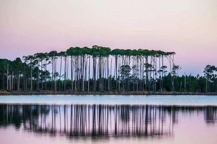 WaterColor and Grayton Beach: Private Chef Service in Your Rental